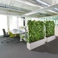 Acoustic Wall zielona ściana wyciszająca w biurze