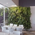 Acoustic Wall  ścianka wygłuszająca do pomieszczeń z ogrodem wertykalnym