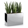 Donica Mirror Box do sansewierii