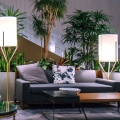 Sasnsewieria Fernwood w hotelu