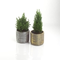 Polnix doniczka ceramiczna Rustic - Cylinder na rośliny domowe
