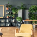 kalatea-lancetolistna-rosliny-w-salonie.jpg