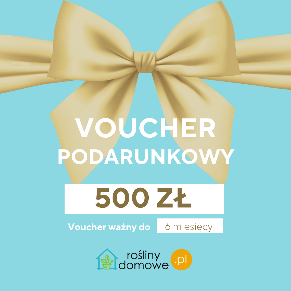 Voucher na prezent bon upominkowy 500 zł sklep rośliny domowe