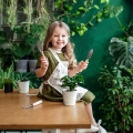 Dracena Compacta pielęgnacja