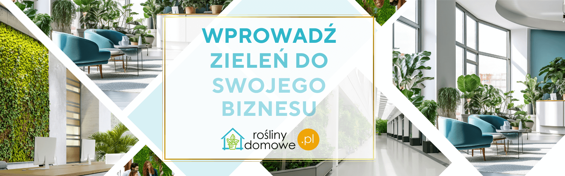 Banner oferty dla biznesu związanej z roślinami domowymi, roślinami tarasowymi oraz ogrodami wertykalnymi