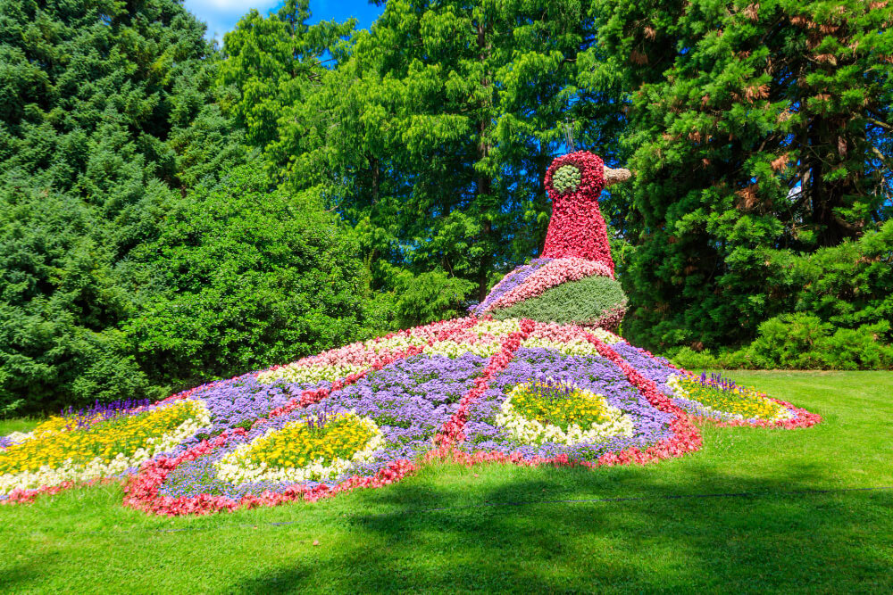 Mainau na Jeziorze Bodeńskim czy warto?