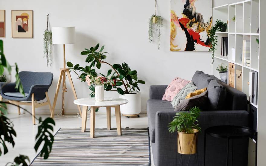 Biophilic design - czym jest i jakie są jego główne założenia?