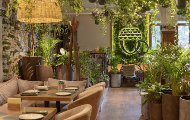 Oczaruj swoich gości zielenią - rośliny do restauracji, kawiarni, barze